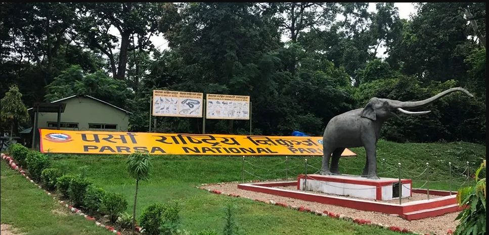 जरायो चोरी सिकारी प्रकरणमा ४९ जना कसुरदार